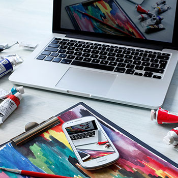 麻豆雀,探寻神秘鸟类的传奇故事